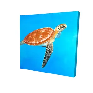 Begin Home Decor 2080-2424-AN275 24 x 24 in. Green Aquatic Turtle Canvas - Exotic Bedroom Wall Art Decor