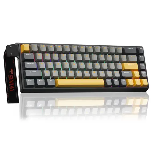 AULA WIN60/68 HE Hall Effect Magnetic Switch Mechanical Gaming Keyboard, 65% Compact Wired RGB Keyboard with Detachable USB Cable, Hot-Swappable, Adjustable Actuation, 0.3ms Latency, 8000Hz Polling, for FPS Gaming, Gamer Life, Gift Ideas for Gamers