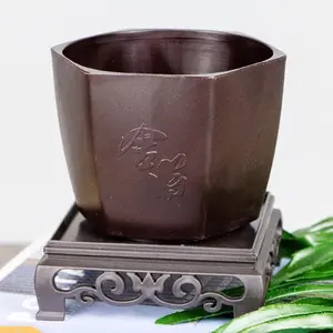 4.5 Inch Bonsai Pots with Raised Tray - Great for Training New Bonsai Trees