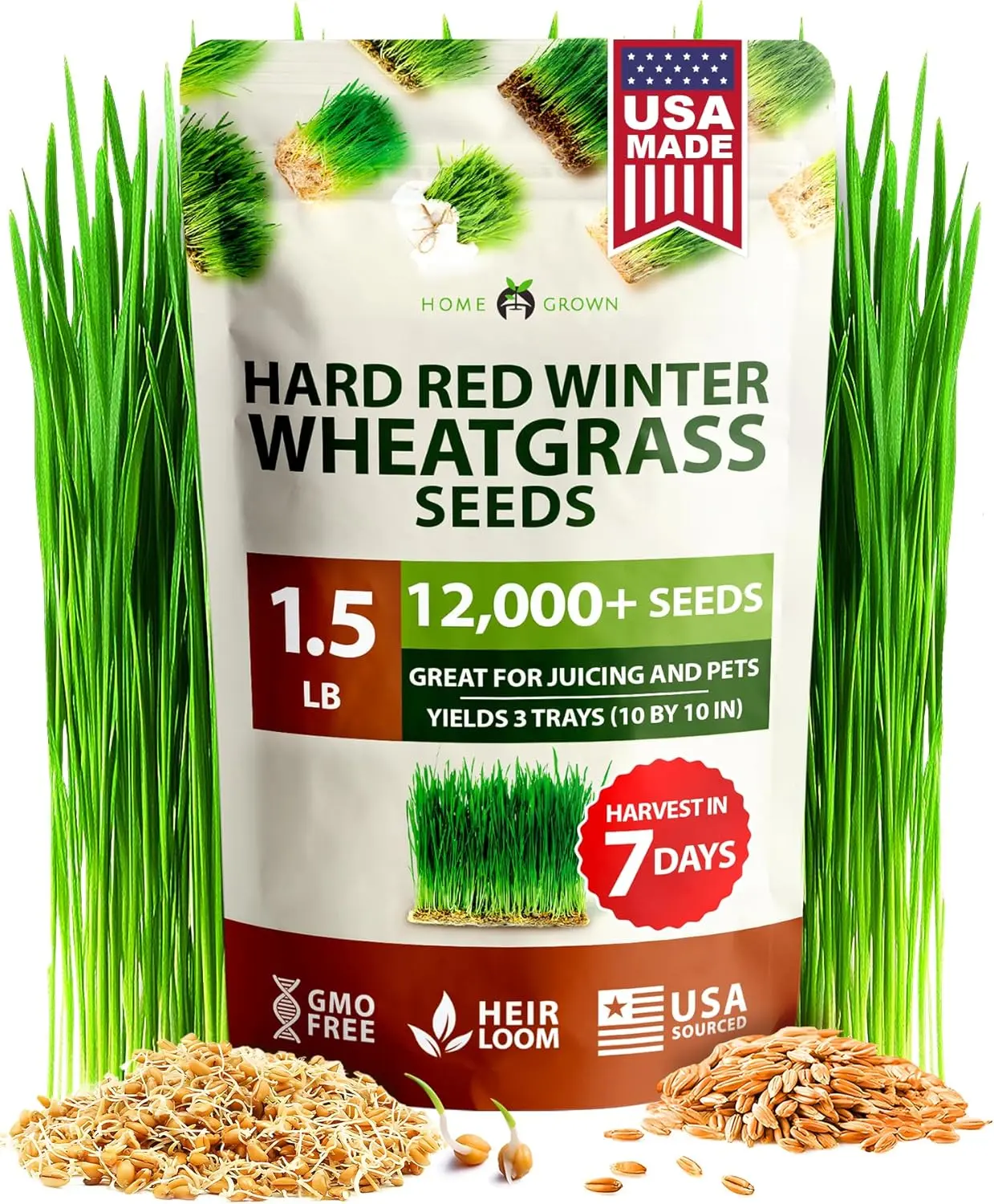 HOME GROWN Hard Red Winter Wheatgrass Seeds 12,000+ Bulk 1.5 lb Heirloom Non-GMO, Sprouting for Juicing, Healthy Smoothies, Pet Cat Grass, Microgreens, Indoor Garden (Triticum aestivum)