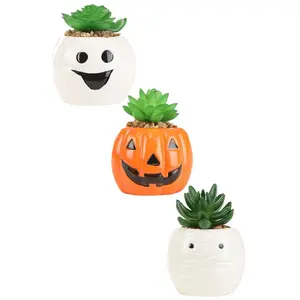 Halloween Succulent Planter Set