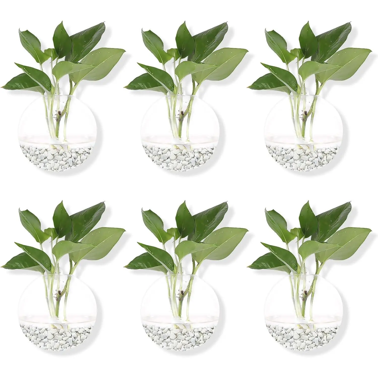 Pack of 6 Glass Planters Wall Hanging Planters Round Glass  Pots Hanging Air  Pots Flower Vase Air  Terrariums Wall Hanging  Container