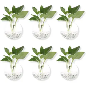 Pack of 6 Glass Planters Wall Hanging Planters Round Glass  Pots Hanging Air  Pots Flower Vase Air  Terrariums Wall Hanging  Container