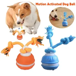 Interactive Motion Rolling Ball for Dogs