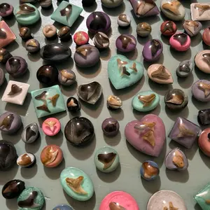 5 Real South Carolina Shark Tooth Bubble Shoe Charms - Colorful Collection of Unique Designs Footwear