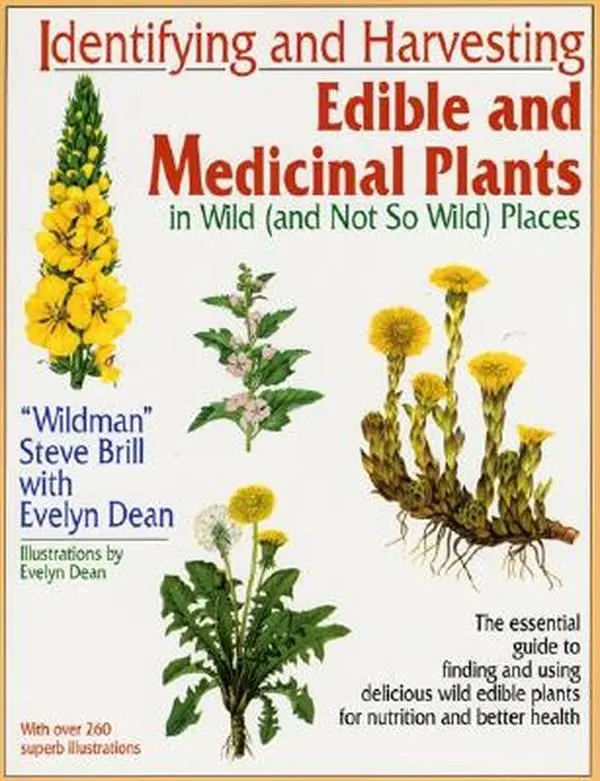 Identifying and Harvesting Edible and Medicinal Plants -- Steve Brill, Paperback