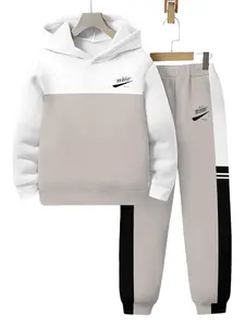 Children Colorblock 3D Printed Set, Boys Girls Hooded Sweatshirt Pants Two-Piece, Spring Fall Casual Wear, Hoodies Sweatpants Youth Kits