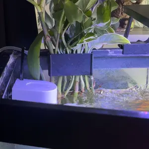 Hanging Fish Tank Plant Holder, Multi-hole Water Cultivation Plant Support, Fish Tank Plant Storage Rack, Aquarium Supplies