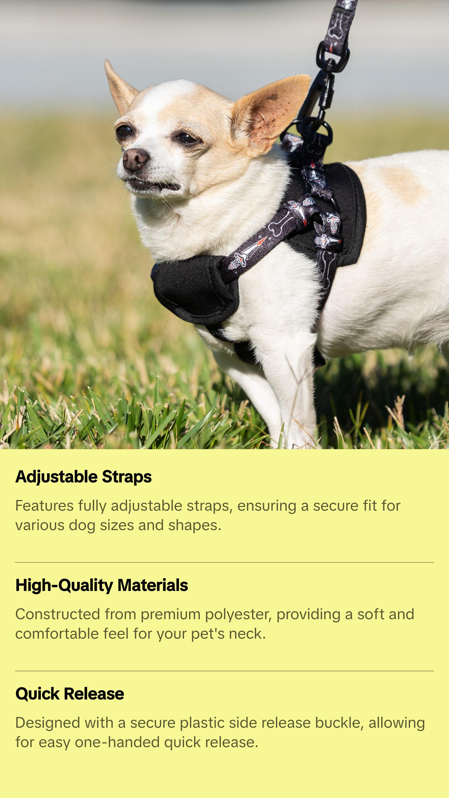 TRIANGLE HARNESS - DAGGER X BONE