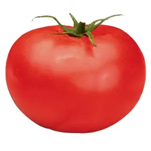 Better Boy Hybrid Tomato Seeds