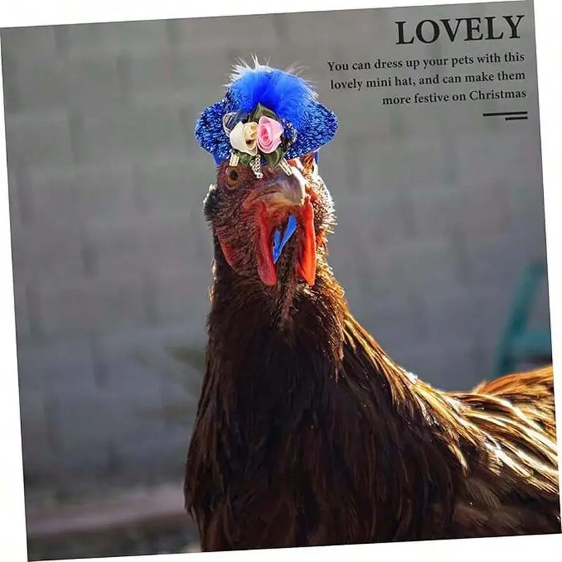 Fun Halloween Pet Accessory, Feather Top Hat for Small Animals, Adjustable Elastic Strap, Perfect for Roosters Ducks & More!