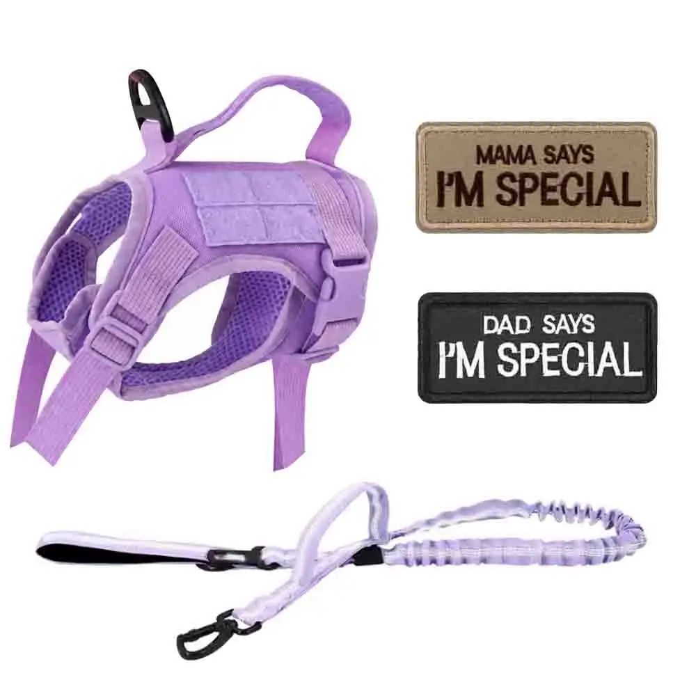 Purple Harness and Leash set