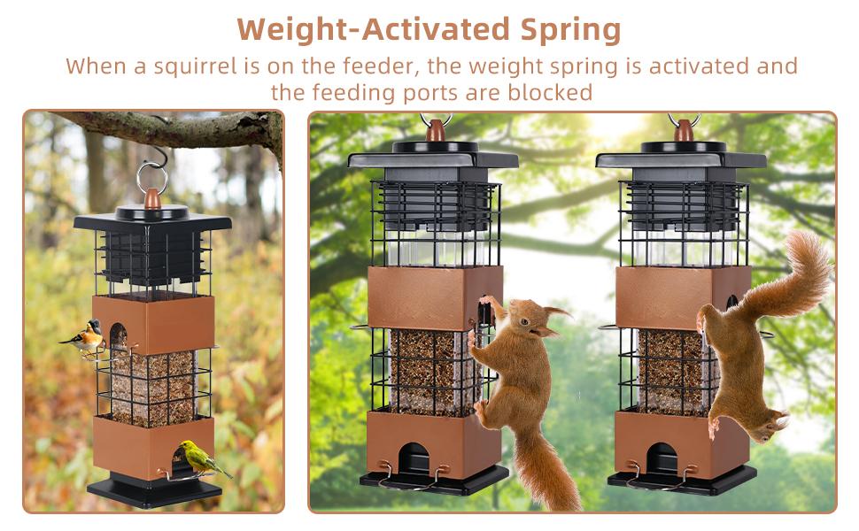 Wildpark 2 PACK Squirrel-Proof Bird Feeders – Durable, Vibrant Orange, Perfect for Cardinals & Chickadees – Ideal Gift for Bird Lovers, Moms & Grandmas