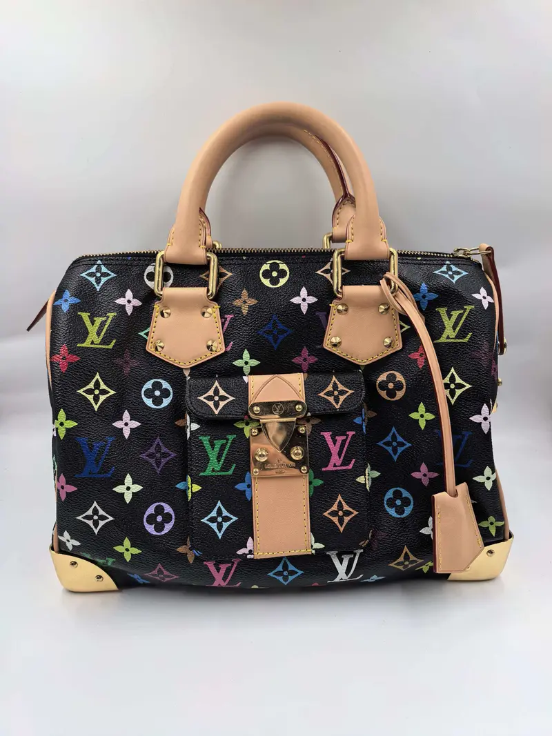 louis vuitton multicolor speedy - TikTok Shop