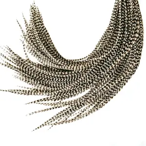 Grizzly 50 Color Hair Feathers - 9”-14” Long - 50 Micro-link Beads - 100% Real Rooster Feathers - Eye-Catching Design for Hair Extension DIY Kit