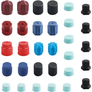 31PCS R12 R134a AC Caps for Cars,11 Sizes Car AC System Charging Port Caps for Air Conditioning Service,Universal AC Low Pressure Port Cap and High Pressure AC Caps Car Accessories