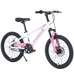 20 Inch Kids Mountain Bike Antique White Steel Frame Single Speed Dual Disc Brake Adjustable Seat Handlebar for Indoor Outdoor Home Garden