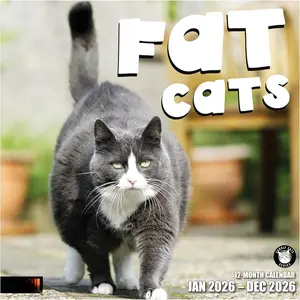 Cats 2026 Wall Calendar 12 Month | 12" x 24" Open | Thick & Sturdy Paper | Giftable | Funny Kitten  Calendar 2026