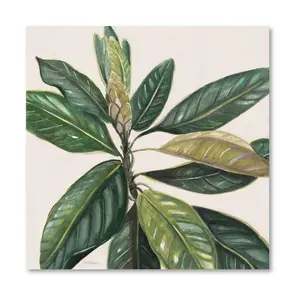 Courtside Market Magnolia Leaves II 16x16 Canvas Wall Art