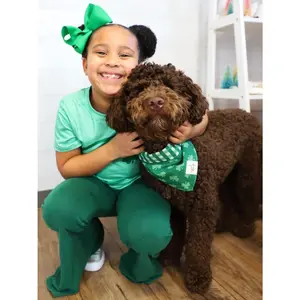 Dog Bandana - St. Patrick's Day Dress Up Shamrock and Green Plaid Reversible