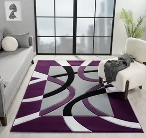 Sam's Rugs Ultra Soft Area Rug Hand Carved - Modern Abstract Design for Indoor Living Room & Bedroom - Stain Resistant, Easy to Clean