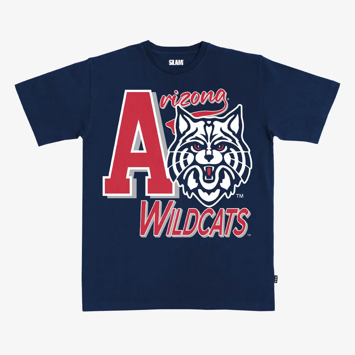 Arizona Letter Heavy Tee, Crewneck Sweater, Hoodie