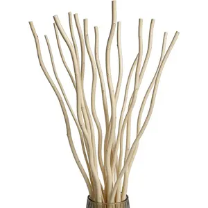Dried Curly Willow Branches, 15 Stems Dried Twigs Sticks 18-19" Decorative 100% Natural Birch Branches for Vases, DIY, Floral Arrangement, Centerpiece, Rustic Home Decor, Beige