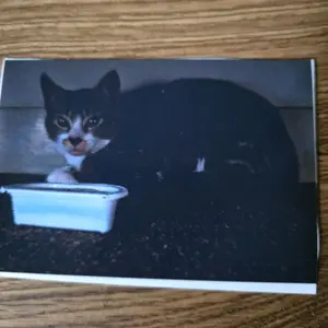 personalized postcards
