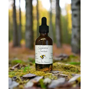 Goldenrod Tincture, Solidago Herbal Extract, 1 oz. or 2 oz. Dropper Bottle