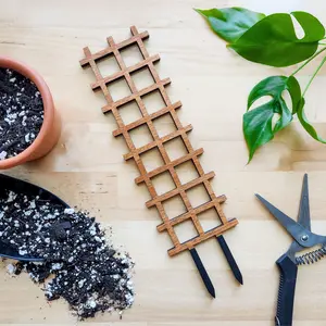 Ladder Indoor Houseplant Trellis (Wood) Ladder Indoor Houseplant Trellis (Wood)