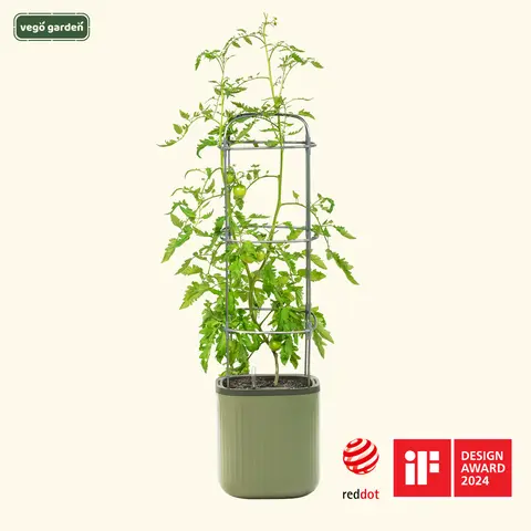 Vego Garden EZ Metal Self-Watering Tomato Trellis Planter - Rectangular Vegetable Planter for Outdoor Gardening, Climbing Plant Support, Enables Less Daily Watering & More Garden Time