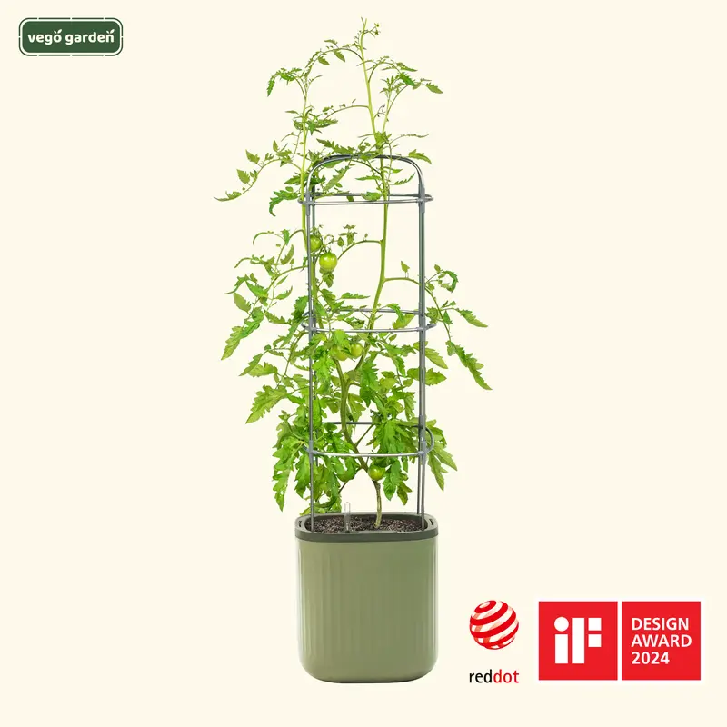 Vego Garden EZ Metal Self-Watering Tomato Trellis Planter - Rectangular Vegetable Planter for Outdoor Gardening, Climbing Plant Support, Enables Less Daily Watering & More Garden Time
