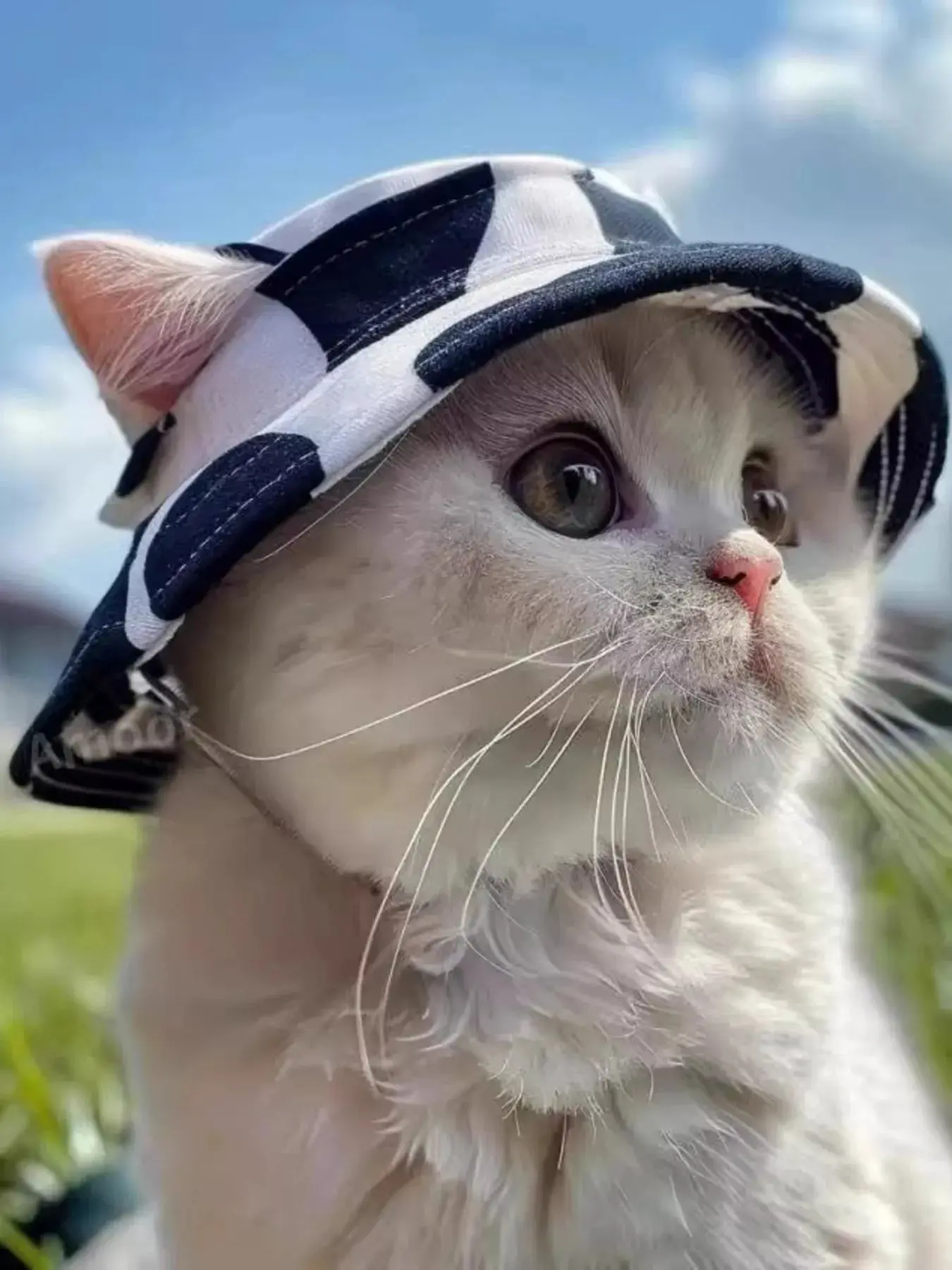 1-Piece Multi-Size Bucket Hat for Small to Medium Dogs & Cats, Pet Headwear, One-Piece