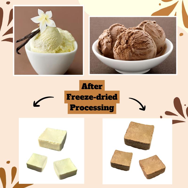 G-Box Freeze Dried Ice Cream Cubes in Air-tight Sealed Container | Vanilla | Chocolate | Snack Dessert