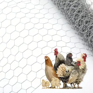 Galvanized Chicken Wire Mesh Roll Hexagonal Poultry Netting Fence for Garden, Chicken Coop & Rabbit Cages