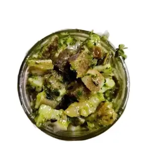 Andwi andiyet hat Haitian - No Attributes Provided