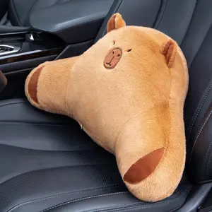 Kawaii Soft Lumbar Pillow with Washable Cover, Comfortable Rest Cushion for Home & Office Use, Perfect for Reading, Napping, or Travel