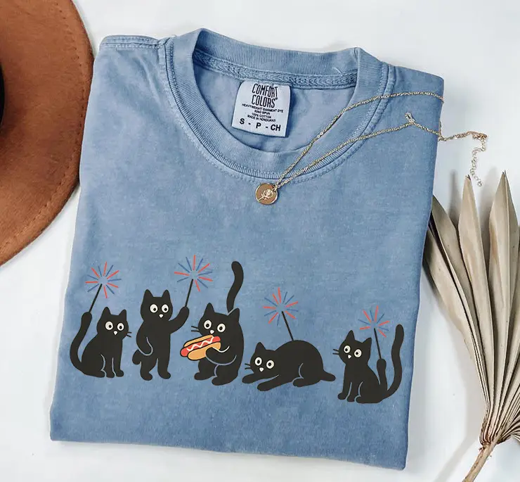 Comfort Colors Funny Patriotic Cat Shirt, Firework Black Cat Graphic Tee, Cute 4th Of July Cat Lover T Shirt