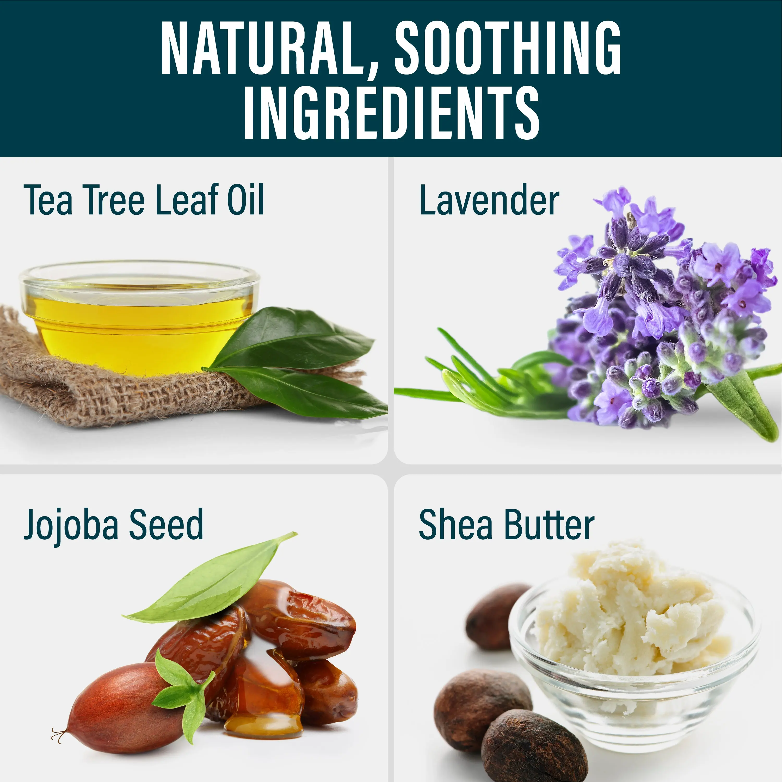 Rey Naturals Tea Tree Oil | Tea Tree Essential Oil For Hair, Skin And - View #4