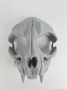 Feline Formidable: A 3D-Printed Cat Skull Mask for Haunting Halloween Adventures