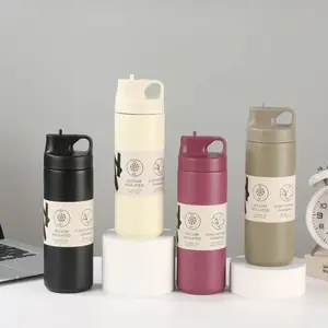 Stainless Steel Sports Water Bottle, 1 Count Large Capacity Insulated Mug with Straw Spout, Sports Mug for Home, Office and Outdoor, Drinkware