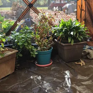 VEVOR Tarp Waterproof 16x20 ft, Plastic Poly Tarp Cover 10 Mil, Multi Purpose Tear UV and Temperature Resistant Outdoor Tarpaulin with High Durability Reinforced Grommets (Silver/Brown)