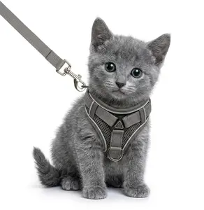 Leash set: escape-proof adjustable cat leash and collar made from comfortable, breathable materials, with adjustable sizing. Reflective soft mesh vest for easy safe leash walking. Includes a summer version; breathable and moisture-wicking.
