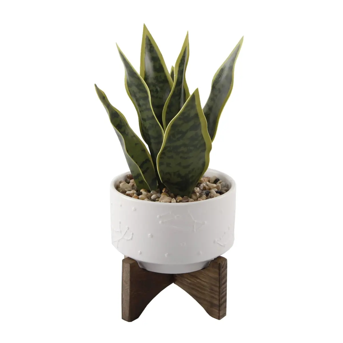 Flora Bunda CS3538E-MTWH 9.7in Snake Plant in 4.25in Constellation Ceramic Flower Pot - Decorative Ceramic Flower Pot with Wood Stand for Home Improvement, Garden Supplies, Ceramic Flower Pots, Constellation Flower Pots