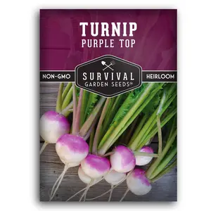 Purple Top Turnip Seeds - High-Quality Garden Seeds