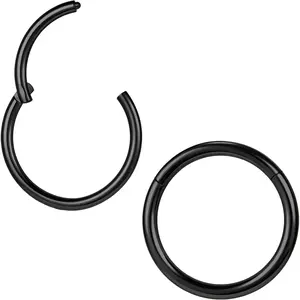 2Pcs F136 Titanium 6/7/8/9/10/12/14mm Cartilage Tragus Helix Earring Hoop 20G 18G 16G Lip Rings Hinged Nose Rings Septum Conch Piercings Jewelery