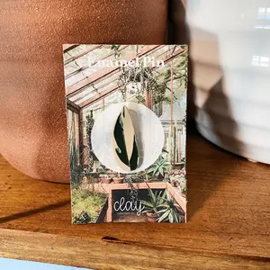 Stromanthe Triostar Leaf | Enamel Pin