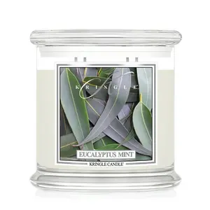 Eucalyptus Mint Scented XL 4-Wick Candles 32oz Large Classic Jar Decor Made with Natural Ingredients