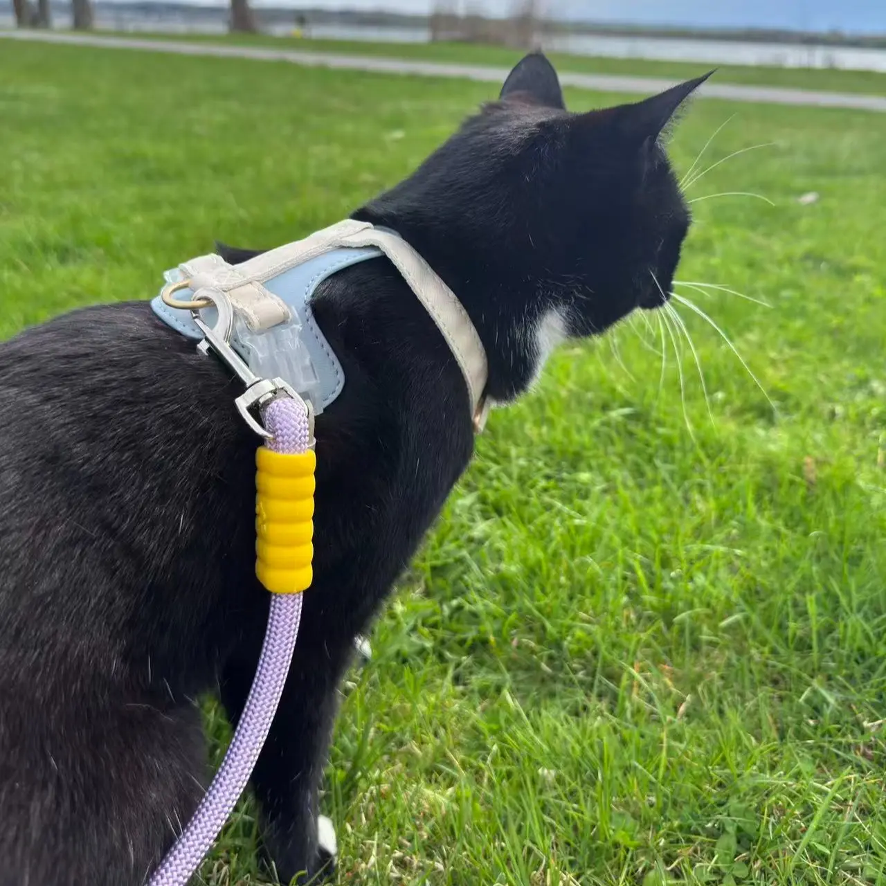 PawLikee Luxe Cat Harness with No-Tangle Leash, Easy-Lock Safety Buckle & Ergonomic Fit for Everyday Secure Outdoor Use, Cat Collars & Leads Accessory