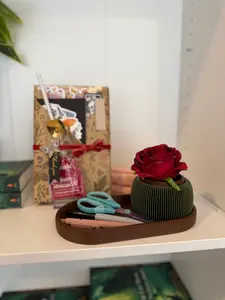 Home Discovery Box w/ 3D-Printed Tray/Planter & Book Bundle